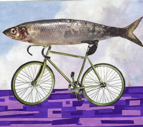 Like A Fish Needs A Bicycle